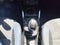 2023 Renault Kwid 1.0 Bitono Mt