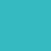 GWM color5