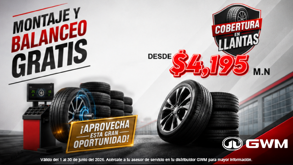 Cobertura de Llantas y Montaje Gratis