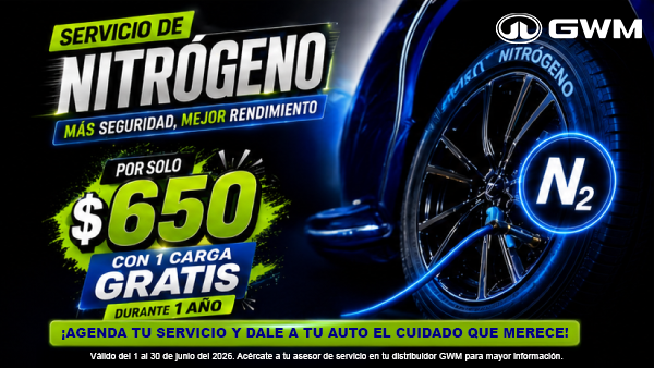 Servicio de Nitrógeno: Seguridad y Rendimiento